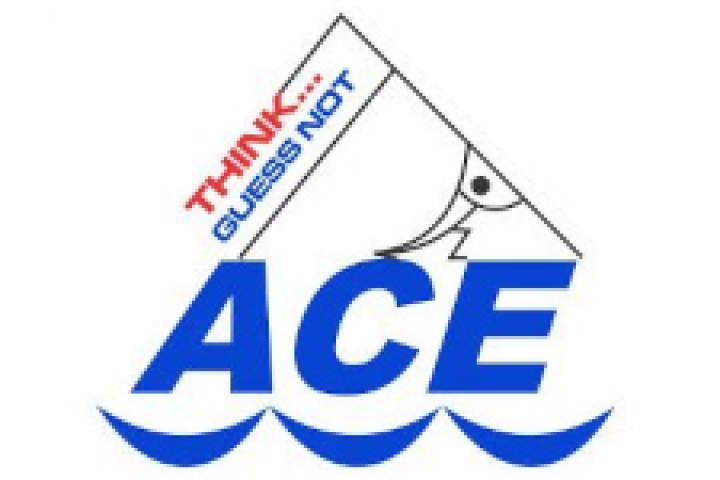 ACE CONSULT LTD.